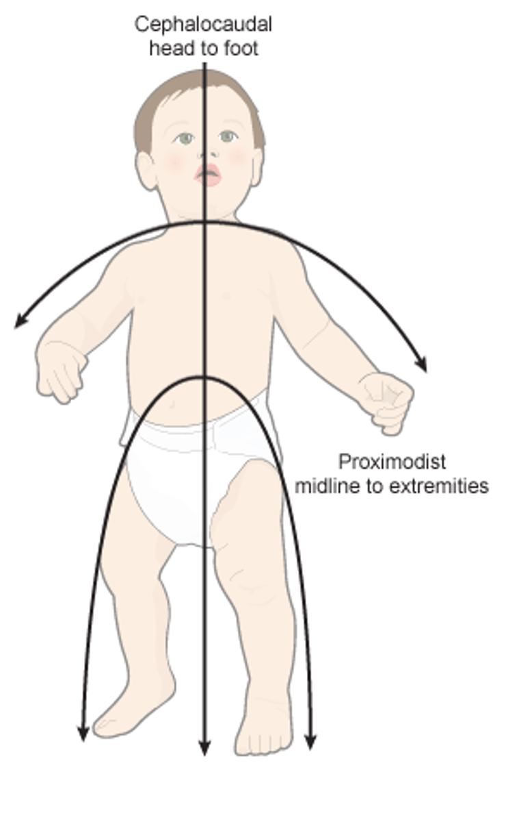 <p>- ("Center to Extremities")</p><p>- Development occurs from the center of the body outward to the hands and feet.</p><p>- Large muscles and central parts develop before smaller, outer parts. Example: A baby can move their upper arm before they can move their fingers.</p>