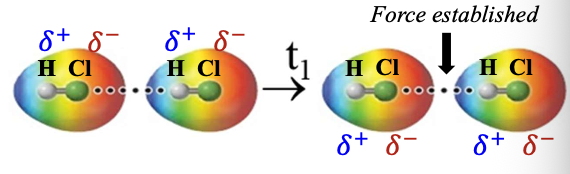 <p>Dipole-Dipole </p><ul><li><p>Between POLAR species</p></li><li><p>Due to PERMANENT regions of polarity</p></li><li><p>𝛿- attracted to 𝛿+</p></li><li><p>𝛿- (high 𝑒 density) REPELLING each other</p></li><li><p>𝛿+ (low 𝑒 density) REPELLING each other</p></li></ul><p></p>