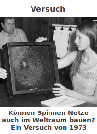 <p><span><strong><span>der Versuch, -e</span></strong></span></p><p><span><span>Der erste </span><strong><span>Versuch</span></strong><span>, dem Patienten Blut abzunehmen, war erfolgreich</span></span></p>