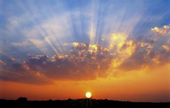 <p>morning</p>