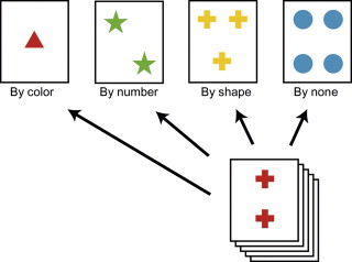 <p>a mental predisposition to perceive one thing and not another</p>