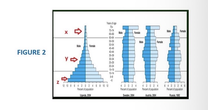 <p><span><span>Identify the age groups labelled &nbsp;"y"</span></span></p>