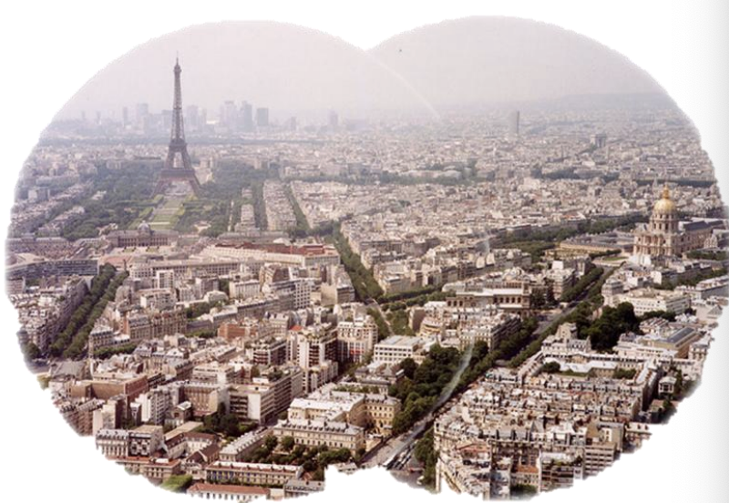 <ul><li><p>visual field = what you see </p></li><li><p>picture is showing the visual field of each eye when both eyes are opened </p></li><li><p>visual field is not the same as retina </p></li></ul><p></p>