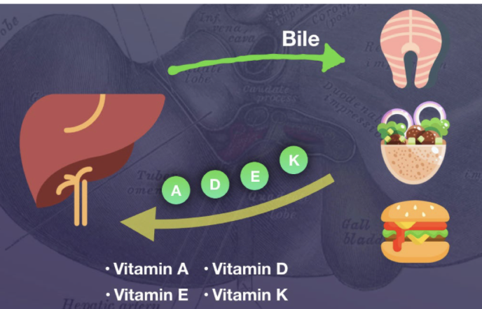 <p>A, D, E, and K</p>