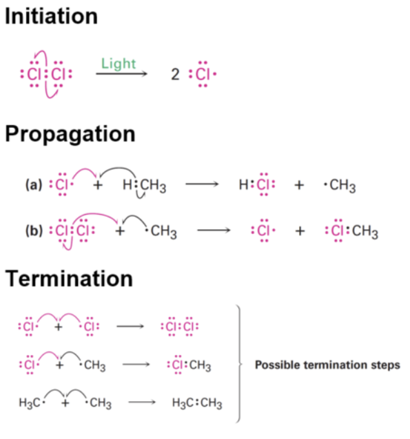 <ul><li><p><strong>Step 1: Initiation</strong><br>UV light provides energy to break the Cl–Cl bond by homolytic fission. Each chlorine atom ends up with an unpaired electron (•), making it a radical.</p></li><li><p><strong>Step 2: Propagation</strong><br>Radicals react to form new radicals in a chain reaction. Chlorine radical reacts with methane, forming a methyl radical. Methyl radical reacts with Cl<sub>2</sub>, forming chloromethane and a new Cl• radical.</p></li><li><p><strong>Step 3: Termination</strong><br>Radicals combine to form stable (non-radical) molecules, stopping the reaction.</p></li></ul><p></p>