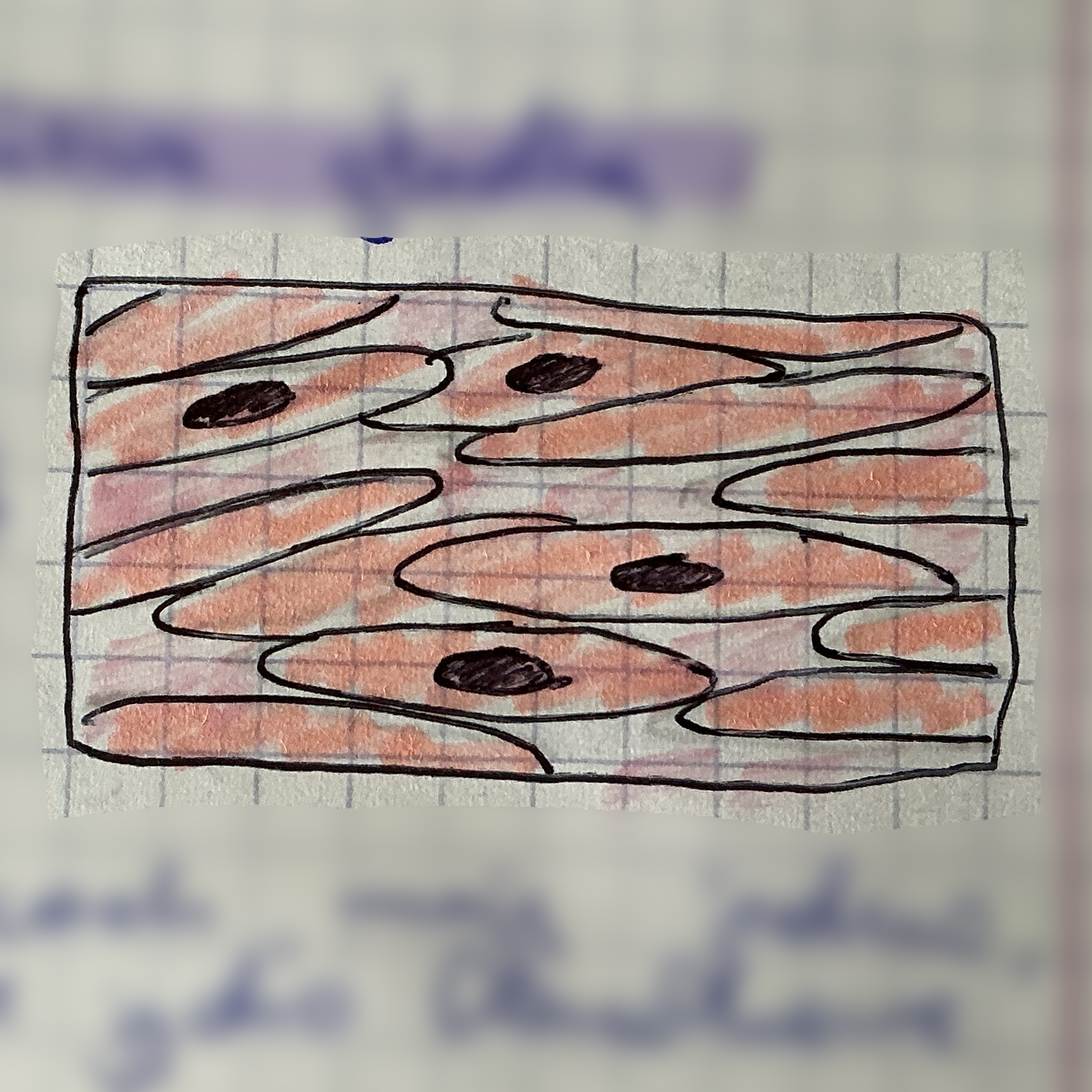 <p>jaka to tkanka?</p>