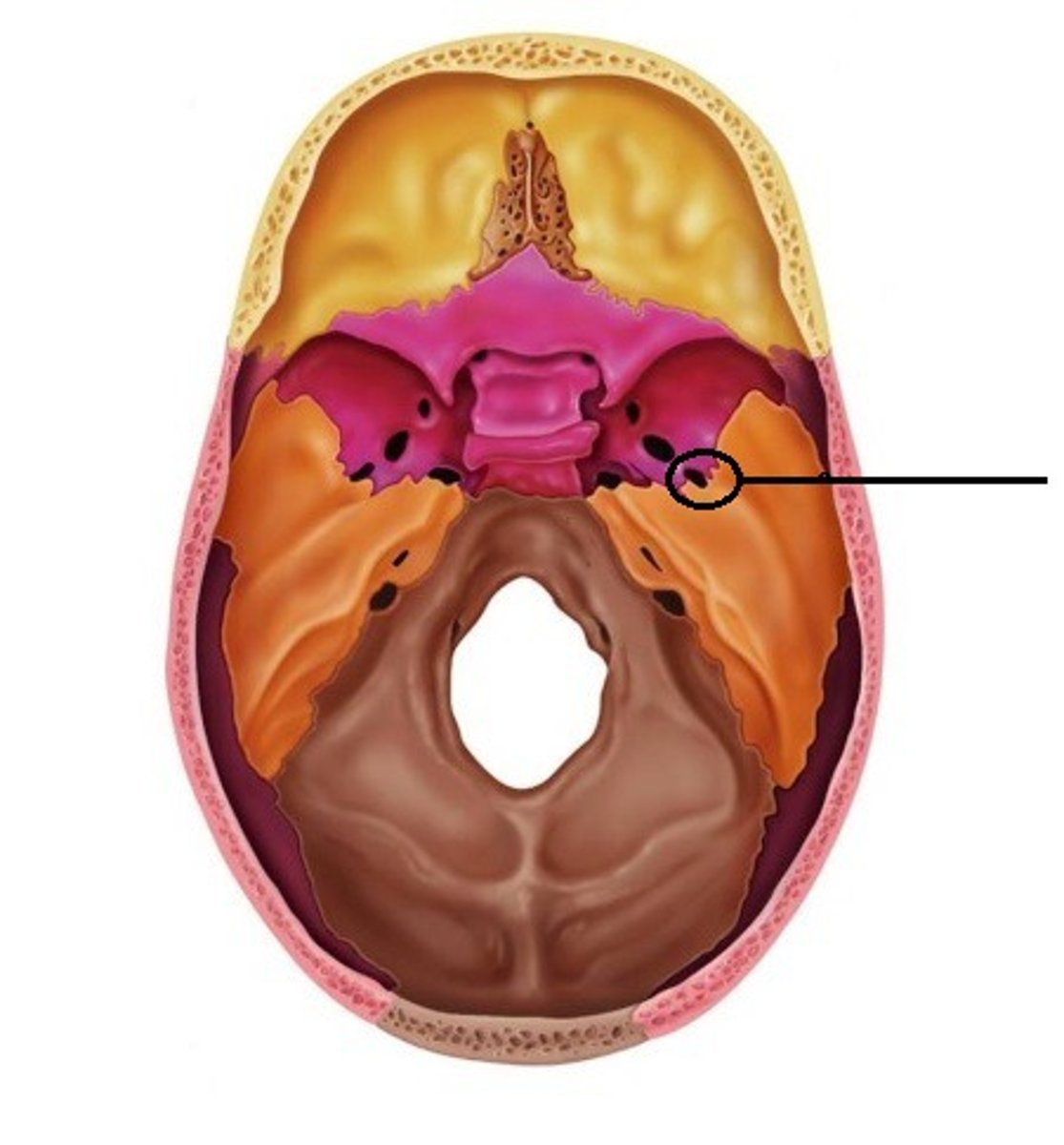 <p>ID opening</p>