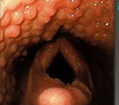 <p>What is this?</p>