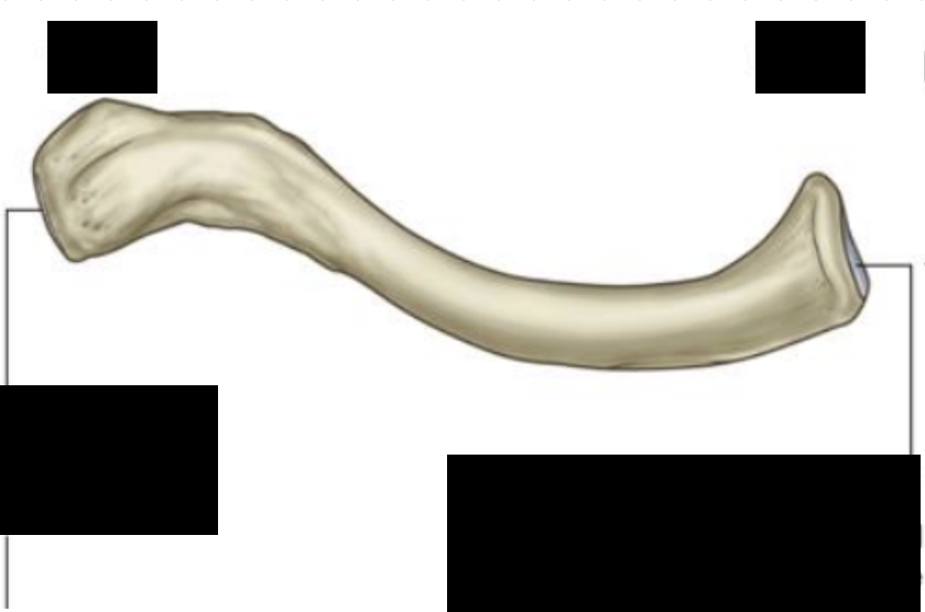 <p></p>