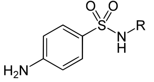 <p>69. The structure below represents what therapeutic class? </p><p>A. Diazoxide (Thiazide) </p><p>B. Sulfonamide </p><p>C. Thiazide </p><p>D. Sulfonylurea</p>