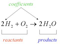 <p>The numbers that appear before the formulas</p>