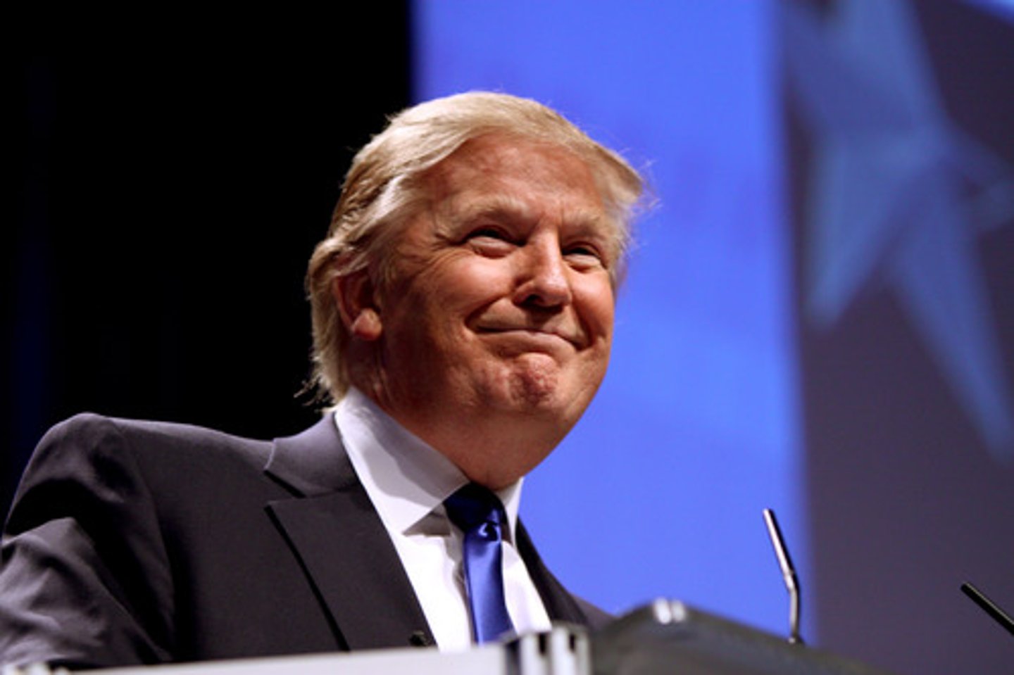 <p>A candidate who enters a race to test support for a stronger candidate or to divide opposition.</p>