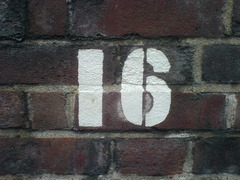 <p>16</p>