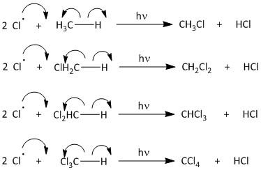 <p>This is where the chain reaction happens. The chain-reaction stage is where radicals continuously react with stable molecules to produce <em>new</em> radicals, keeping the reaction going. Every propagation step consumes one radical and creates a new one, meaning<mark data-color="#ffffff" style="background-color: rgb(255, 255, 255); color: inherit;"> the total number of radicals remains constant until they are eventually removed during termination (</mark>The reaction can continue (chain reaction) as there are many available C-H bonds in this example).</p>