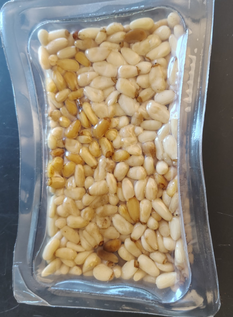 <p>Gymnosperms</p><ol><li><p>Name the phylum</p></li></ol><p></p>