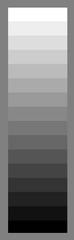 <p>an image that includes only black, white, and shades of gray.</p>