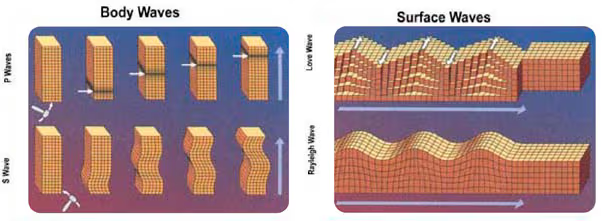 <p> What is a primary difference between body and surface waves?</p>