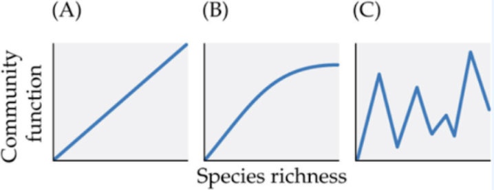 <p>Recent experimental work in communities has shown positive relationships between species diversity and community function. We learned that there is considerable debate about the relationships and their controlling mechanisms and that at least three hypotheses have been developed to explain them. Below are three graphs of species richness-community function relationships that vary in the shapes of their curves. Describe which hypothesis best fits each curve, and why.</p>