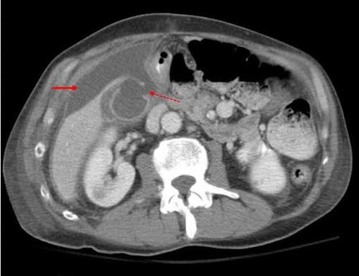 <p>List findings and diagnosis</p>