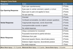 <p>Remember, T is used for tube (intubation or trach) with Verbal</p>