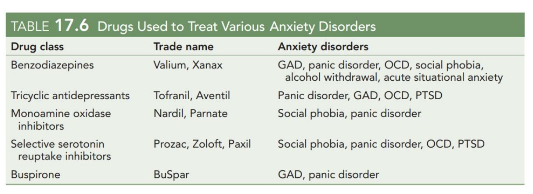 <p>…there are many drugs possible, not just GABA drugs</p><div data-type="horizontalRule"><hr></div><ul><li><p></p></li></ul><p></p>