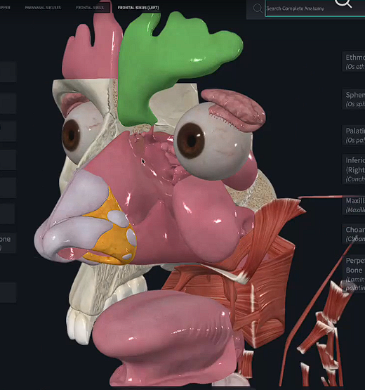 term image