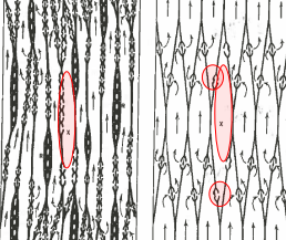 <p>Injured vessels are often isolated by suberization of the cell walls next to the injury.?</p>