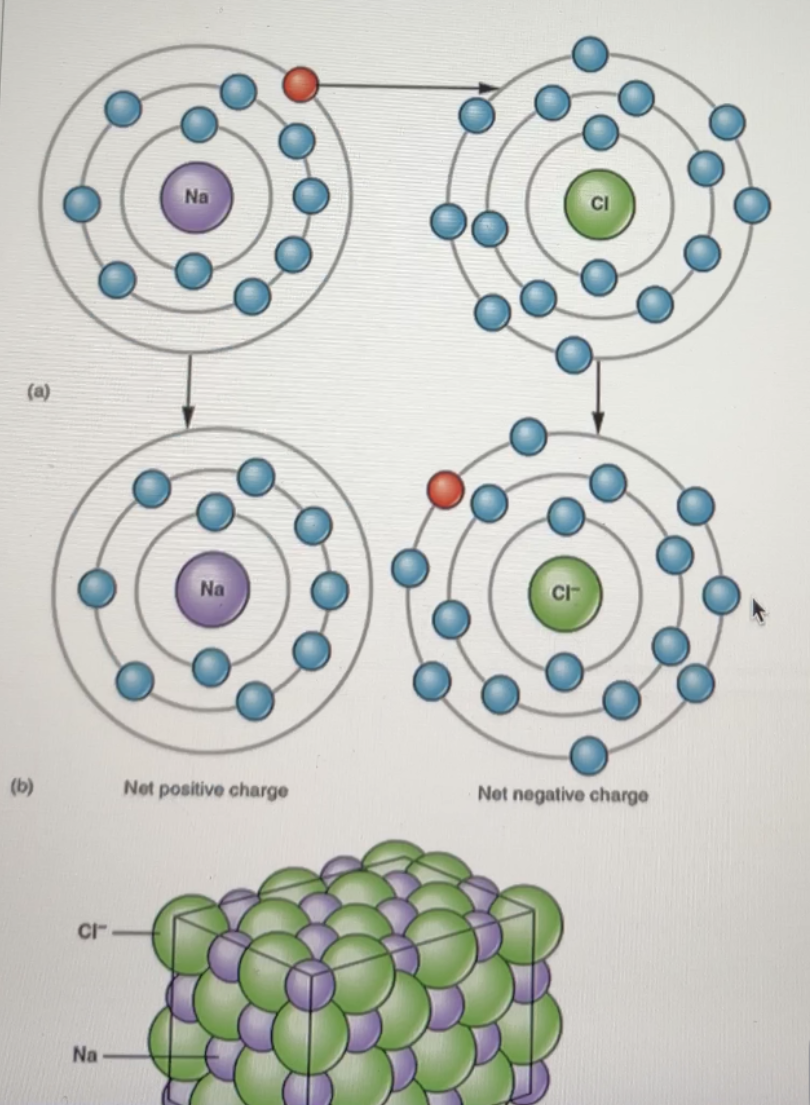 <p>What type of bond is illustrated here?</p>