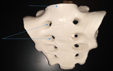 <p>What are these holes called?</p>
