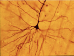 <p>What does this image show?</p>