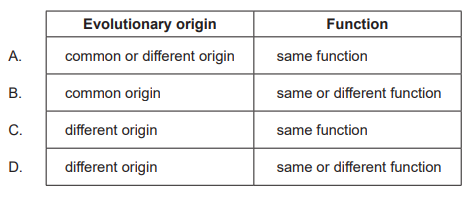 <p>What are the evolutionary origins and functions of homologous structures?</p><p></p>