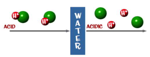 <p>Are proton donors: they release hydrogen ions (H+, have</p><p>no electrons) in solution</p><p>Acidity involves only free H+ in solution</p>