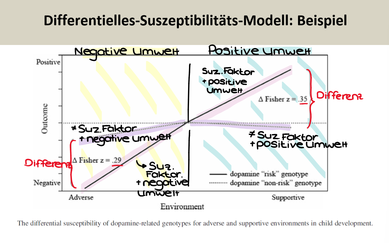 <p><span style="background-color: rgb(229, 224, 236);">Ergebnisse der Metanalyse:</span></p><ul><li><p>Kinder mit einer bestimmten Variante des Gens werden durch die Umwelt stärker beeinflusst als die anderen Kinder, im Guten wie im Schlechten</p></li><li><p>Der positive Suszeptibilitätseffekt (förderlicher Effekt positiver Erziehungsumwelten) war genauso gross wie der negative Suszeptibilitätseffekt (Vulnerabilitätseffekt negativer Erziehungsumwelten)<br>=> Ergebnisse entsprechen des <span style="background-color: rgb(204, 193, 217);"><mark data-color="#ffffff" style="background-color: rgb(255, 255, 255); color: inherit;">Differentielles Suszeptibilitäts-Modell</mark></span></p></li></ul><p></p>