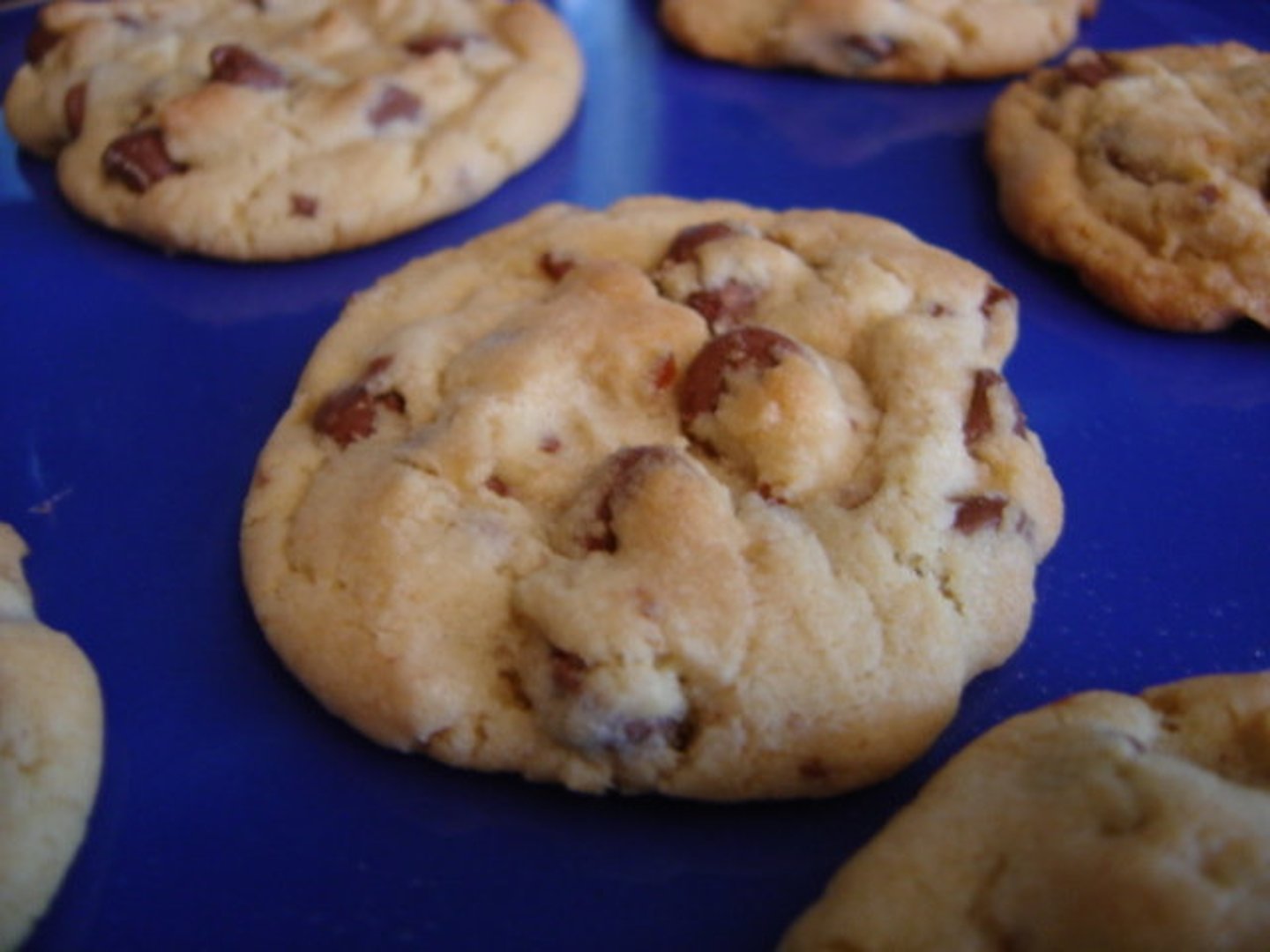 <p>cookie (or cracker)</p>