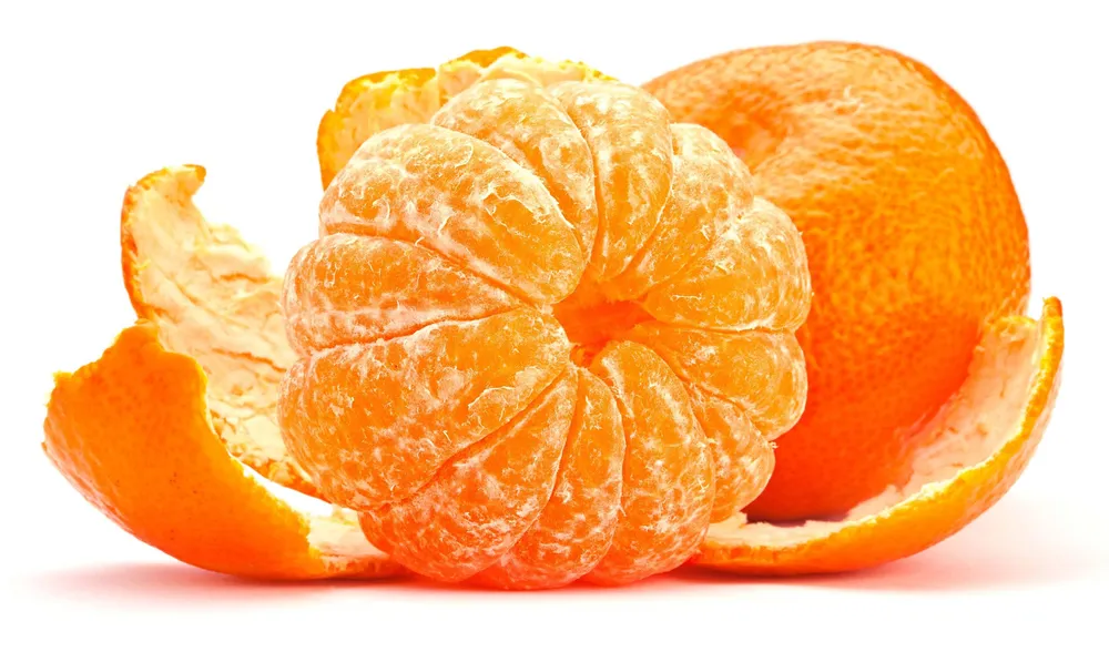 <p>귤</p>