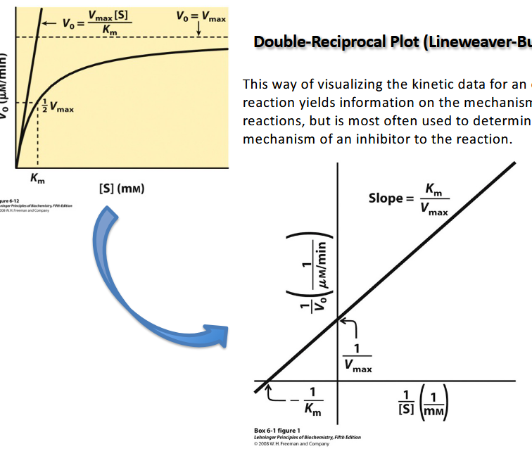 <p>This way of visualizing the kinetic data for an enzyme</p><p>reaction yields information on the mechanisms of the</p><p>reactions, but is most often used to determine the</p><p>mechanism of an inhibitor to the reaction</p>