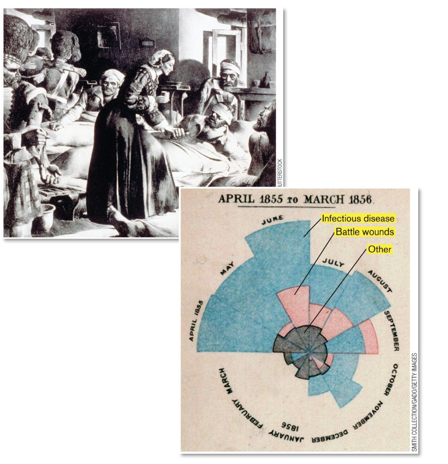 <ul><li><p><span>British nurse better known as founder of professional nursing</span></p></li><li><p><span>Also, founder of medical statistics</span></p></li><li><p><span>1855; tracked causes of deaths during Crimean war</span></p></li><li><p><span>Found more soldiers died of microbial infections than of battle wounds</span></p></li><li><p><span><strong>Shows statistical correlation of sanitation with mortality</strong></span></p></li><li><p><span>Convinced British government to improve living conditions for soldiers</span></p></li></ul><p></p>