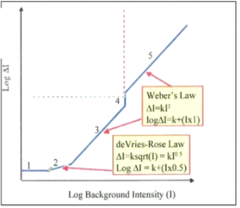 <p>Square Root Law Region: Does the background light start to influence the increment threshold?</p>