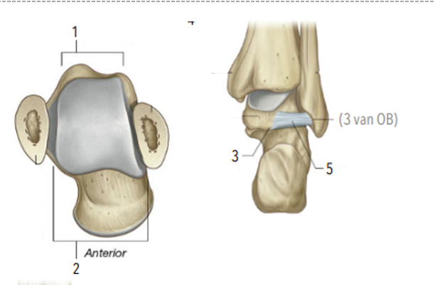 <p>1?2?</p>