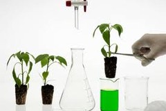 <p>A form of technology that uses living organisms, usually genes, to modify products, to make or modify plants and animals, or to develop other microorganisms for specific purposes.</p>