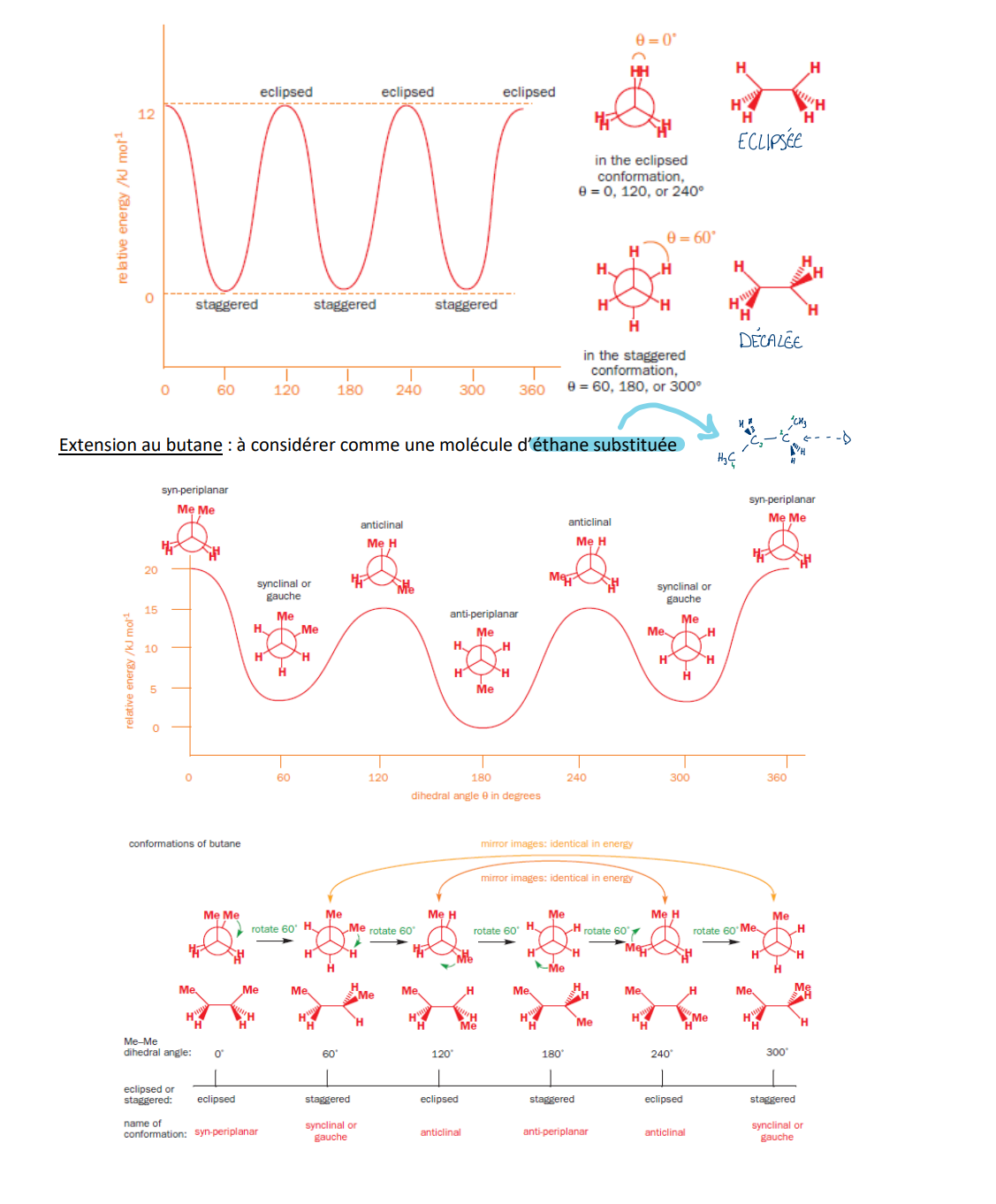 <ul><li><p>Conformations = rotations autour de liaisons simples, <strong>sans rupture</strong></p></li></ul><p></p>