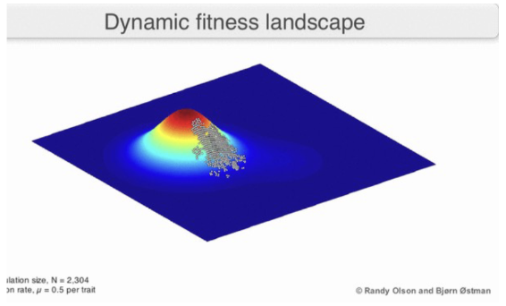 <p>This “dynamic” landscape would lead to what kind of selection?</p>