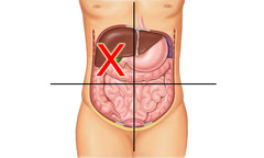 <p>duodenum, part of the ascending and transverse colon, hepatic flexure, liver, gallbladder, pancreas (head), right kidney, and right adrenal gland</p>