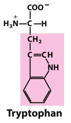 <p>What structure is this? And what group does it fall under?</p>