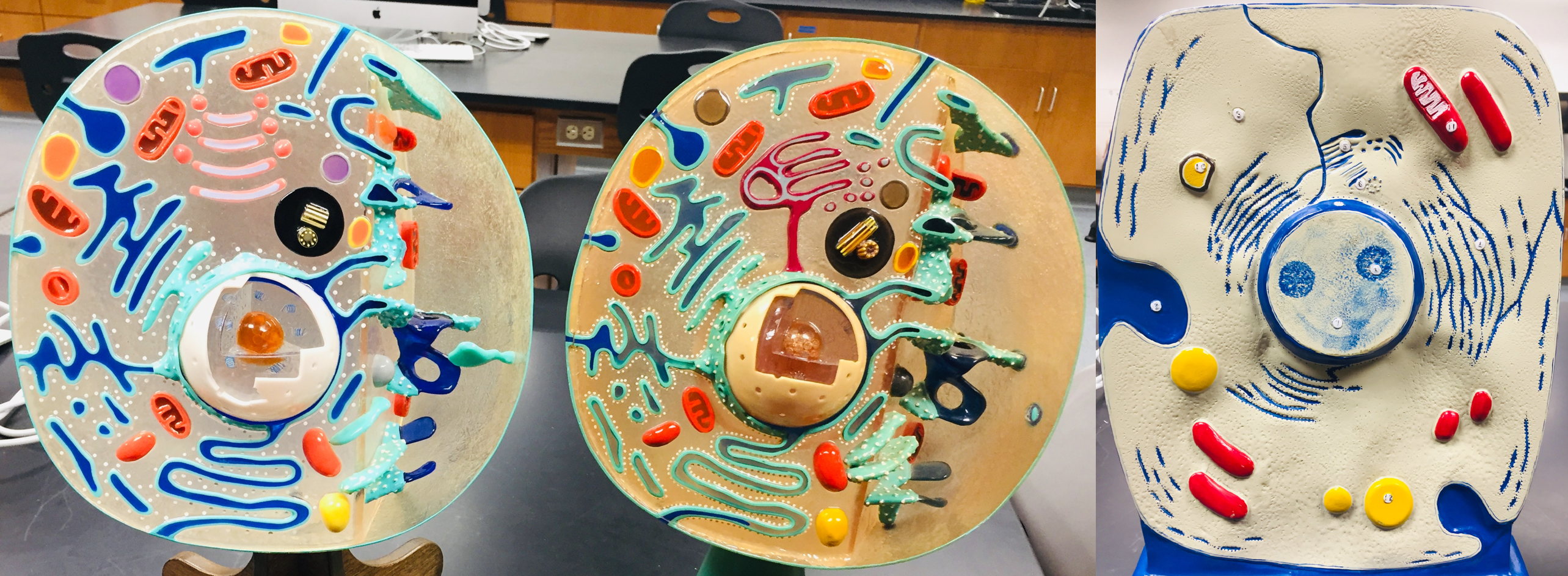 <p>mitochondria</p>