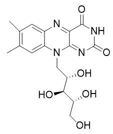 <p></p>