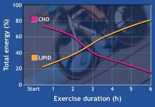 <p>light-moderate: primarily lipids</p><p>moderate: both supply equal amounts</p><p>long duration: shift to fat as primary fuel as glycogen becomes depleted</p>