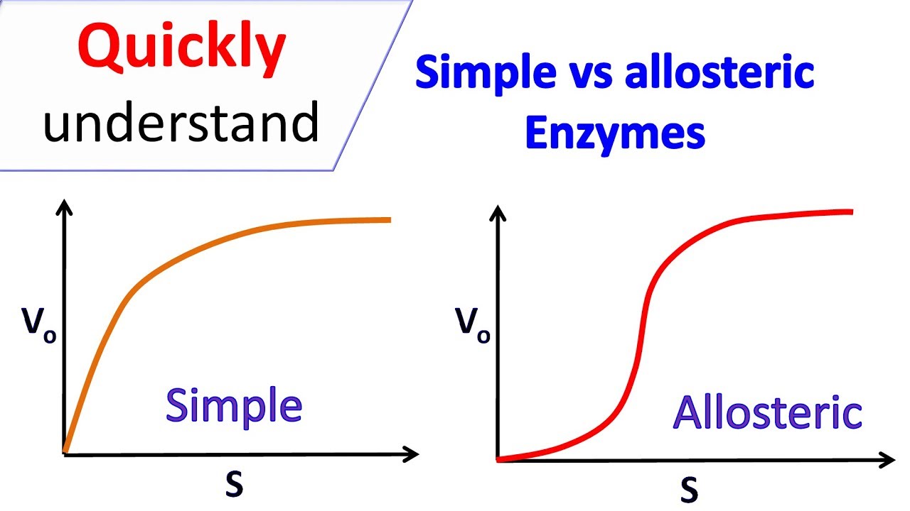 <p>allosteric enzymes have sigmoidal kinetics</p>