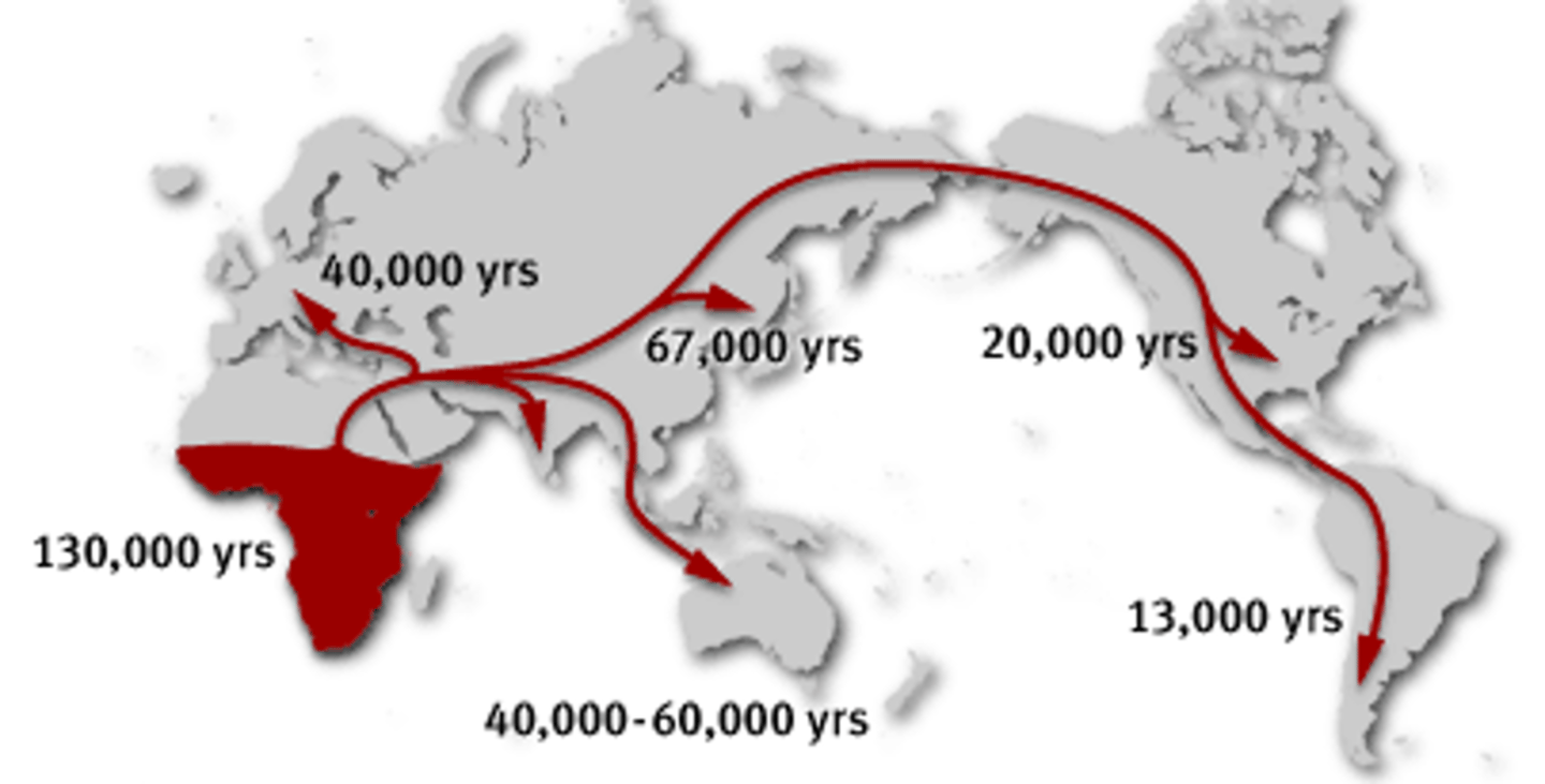 <p>The Kelp Highway Hypothesis</p>