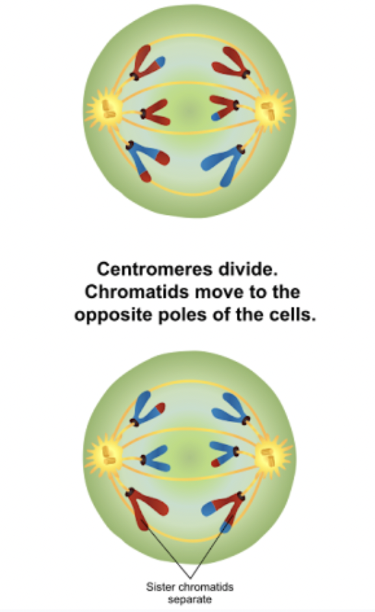 <p><span style="background-color: transparent;">What phase is this?</span></p>